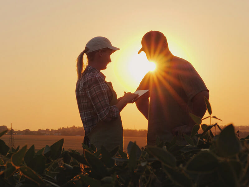 The risks and rewards of working on the family farm