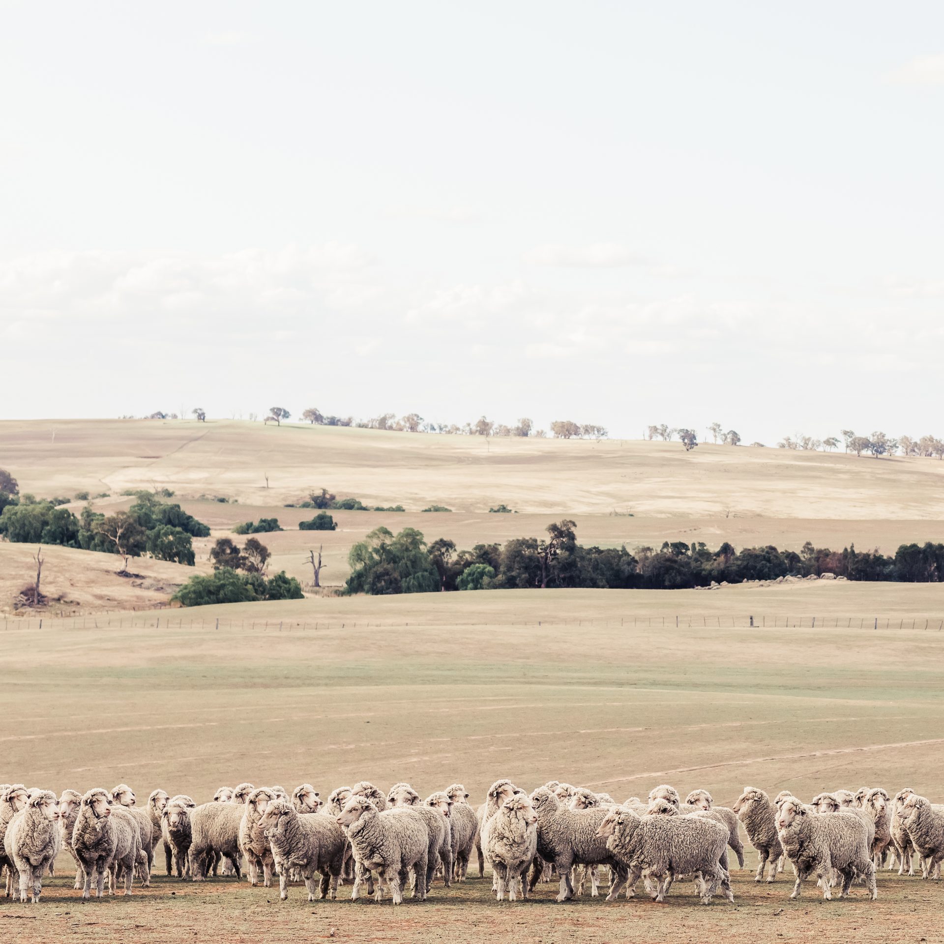 Weathering More Than the Seasons: Mental Health on the Land